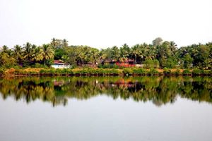 water crisis: rejuvenating india's ponds