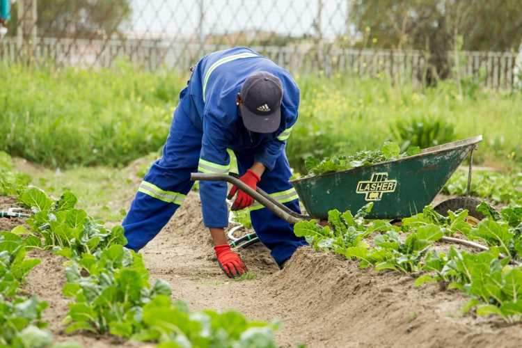 Soil health card scheme has helped millions of farmers.