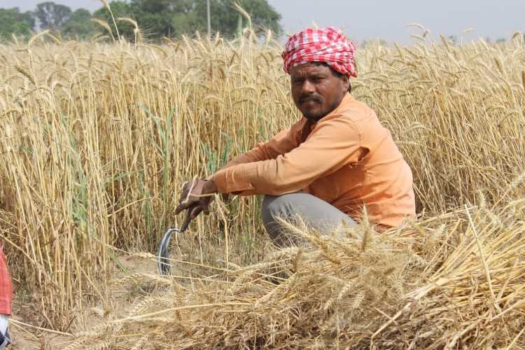 rural India