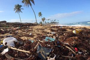 plastic waste pollution on the rise