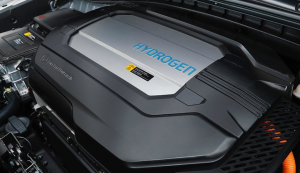 Hydrogen fuel cell