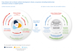 policy circle image