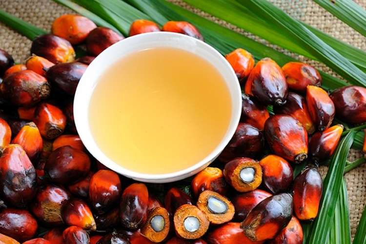 Palm oil prices soar after Indonesian ban