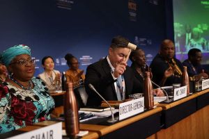 wto ministerial meeting, Geneva