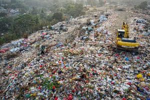 plastic pollution crisis