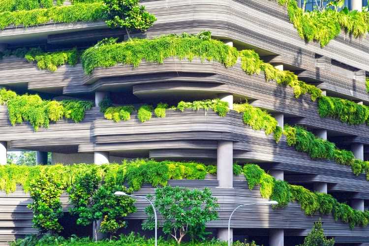 sustainability of cities