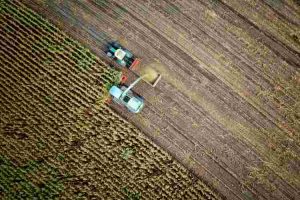 Stubble burning