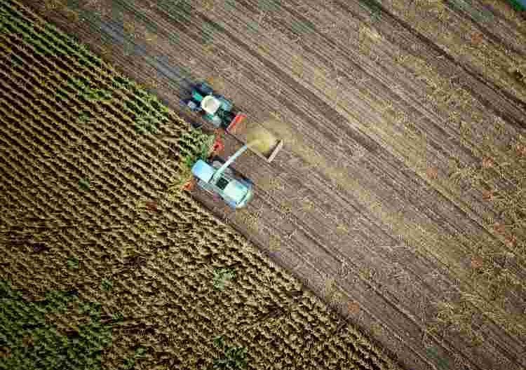 Stubble burning