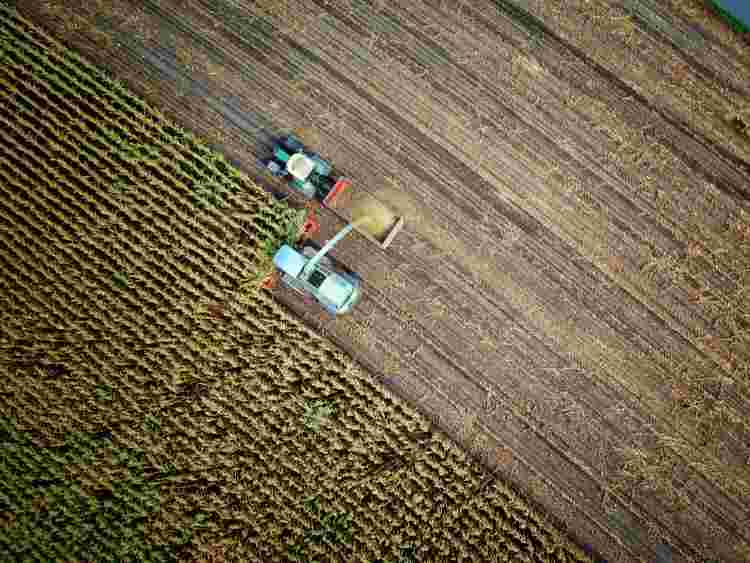 Stubble burning