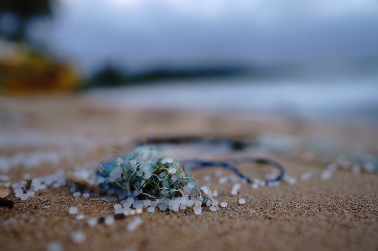 microplastics, plastic pollution