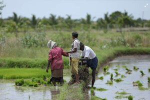 farmer protest in India