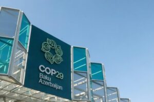 COP29