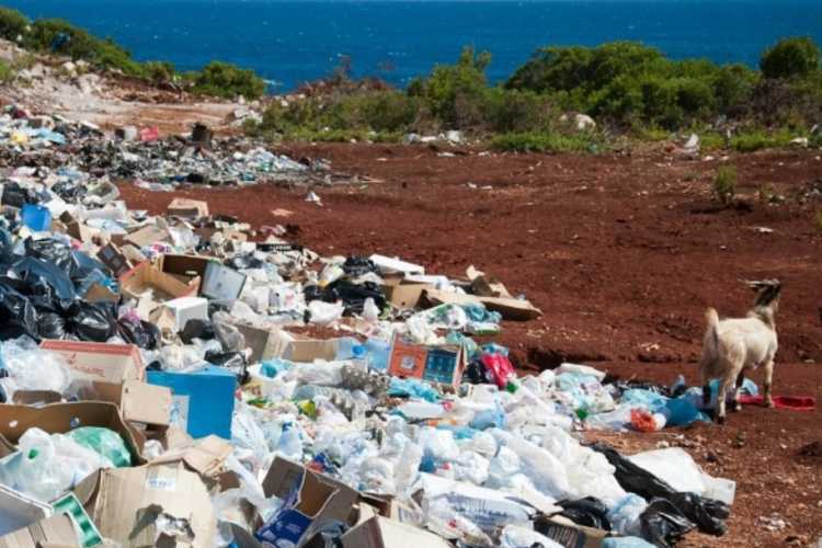 Plastic pollution, Busan