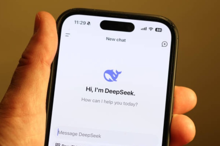 DeepSeek